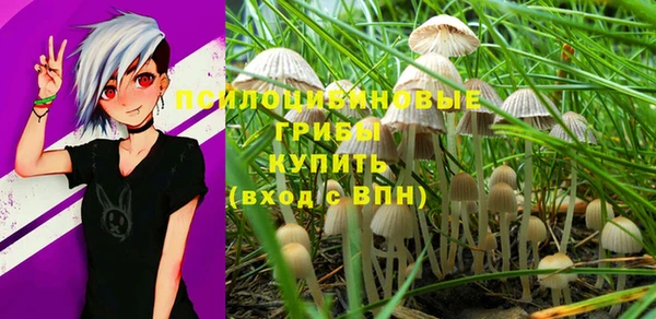 гашик Алзамай