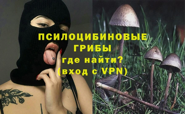 ГАЛЛЮЦИНОГЕННЫЕ ГРИБЫ Алексеевка