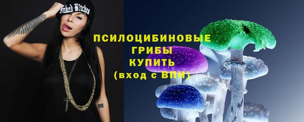 ГАЛЛЮЦИНОГЕННЫЕ ГРИБЫ Алексеевка
