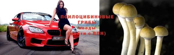 ГАЛЛЮЦИНОГЕННЫЕ ГРИБЫ Алексеевка
