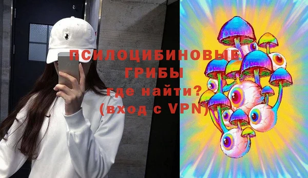 ГАЛЛЮЦИНОГЕННЫЕ ГРИБЫ Алексеевка