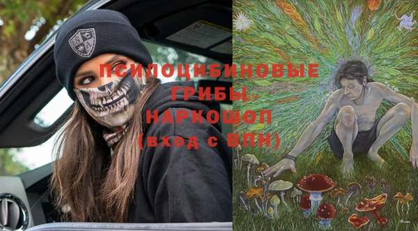 ГАЛЛЮЦИНОГЕННЫЕ ГРИБЫ Алексеевка