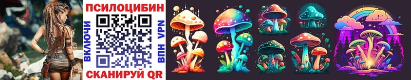 OMG как войти  Курлово  Галлюциногенные грибы MAGIC MUSHROOMS 